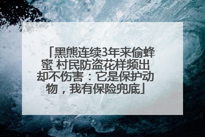黑熊连续3年来偷蜂蜜 村民防盗花样频出却不伤害：它是保护动物，我有保险兜底