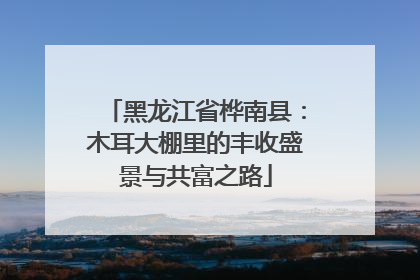 黑龙江省桦南县：木耳大棚里的丰收盛景与共富之路