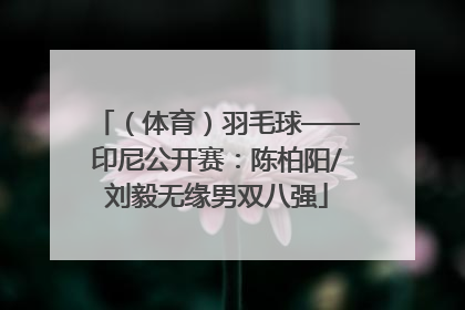 （体育）羽毛球——印尼公开赛：陈柏阳/刘毅无缘男双八强