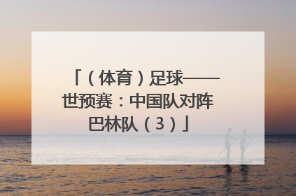 （体育）足球——世预赛：中国队对阵巴林队（3）