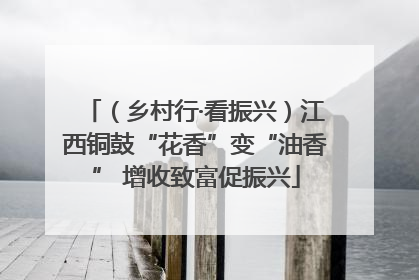 （乡村行·看振兴）江西铜鼓“花香”变“油香” 增收致富促振兴