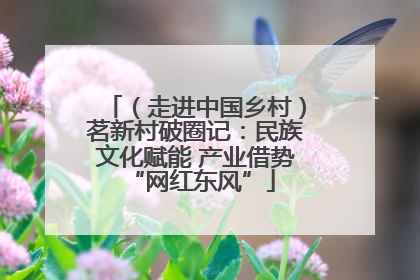 （走进中国乡村）茗新村破圈记：民族文化赋能 产业借势 “网红东风”