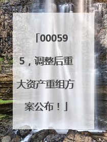 000595，调整后重大资产重组方案公布！