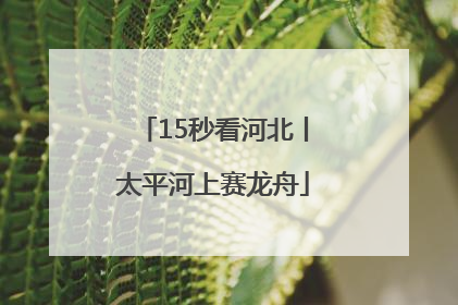 15秒看河北丨太平河上赛龙舟