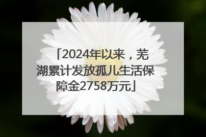 2024年以来，芜湖累计发放孤儿生活保障金2758万元