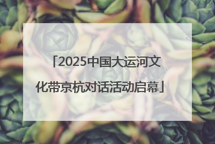 2025中国大运河文化带京杭对话活动启幕