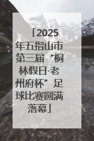 2025年五指山市第三届“桐林假日·老州府杯”足球比赛圆满落幕