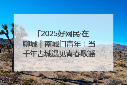 2025好网民·在聊城｜南城门青年：当千年古城遇见青春歌谣 一湖碧水见证的“聊城式浪漫”