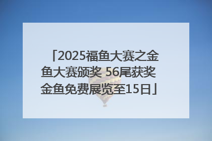 2025福鱼大赛之金鱼大赛颁奖 56尾获奖金鱼免费展览至15日