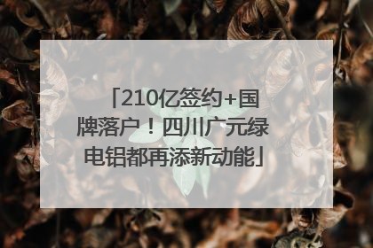 210亿签约+国牌落户！四川广元绿电铝都再添新动能