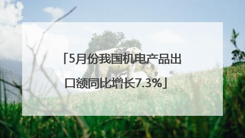 5月份我国机电产品出口额同比增长7.3%