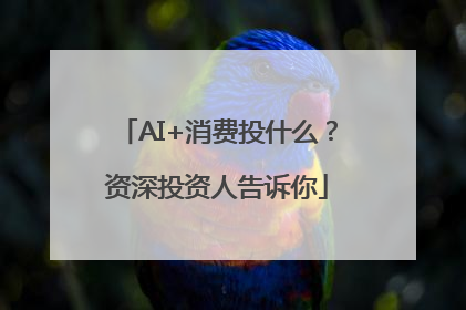 AI+消费投什么？资深投资人告诉你