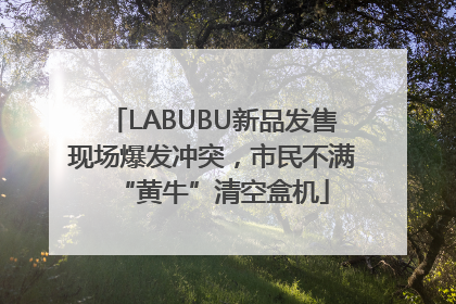 LABUBU新品发售现场爆发冲突，市民不满“黄牛”清空盒机