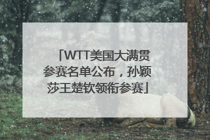 WTT美国大满贯参赛名单公布，孙颖莎王楚钦领衔参赛
